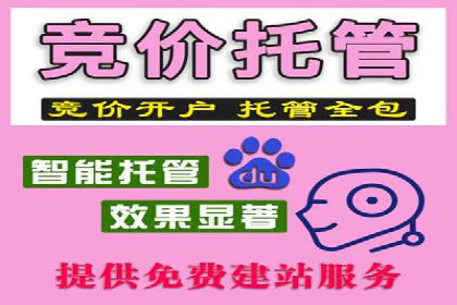 SEM推广案例：竞价代运营实战解析